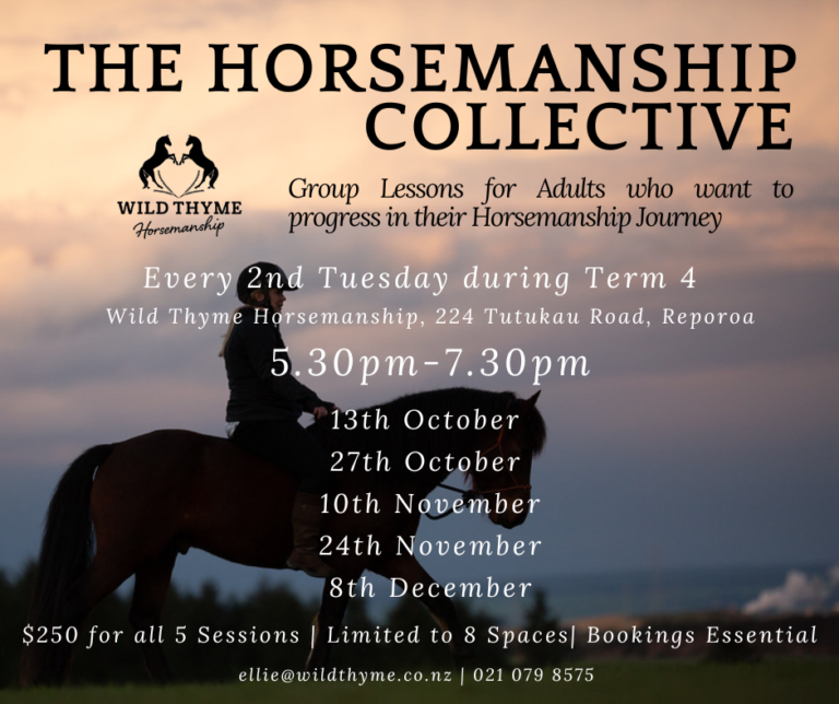 Horsemanship collect - $250 for all 5 sessions